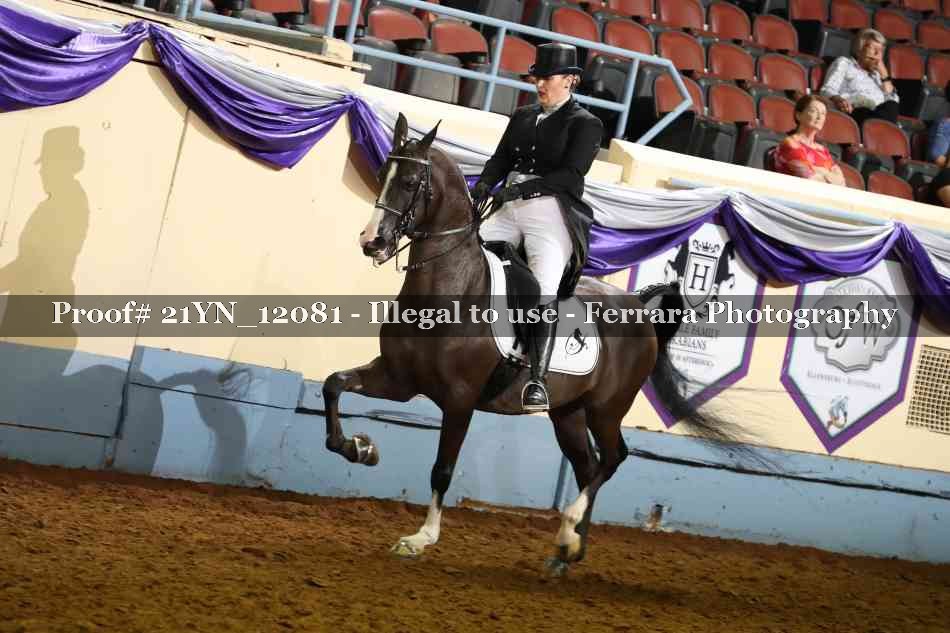 Proof Number 21YN_12081