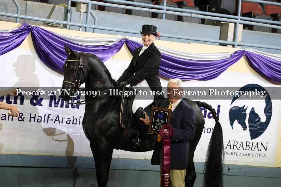 Proof Number 21YN_12091