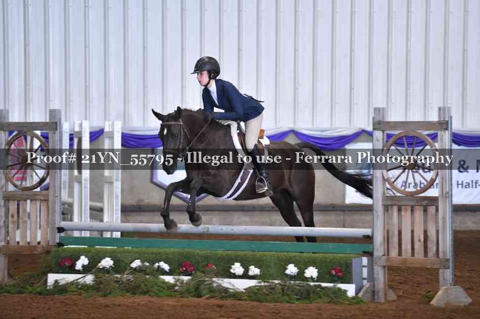 Proof Number 21YN_55795