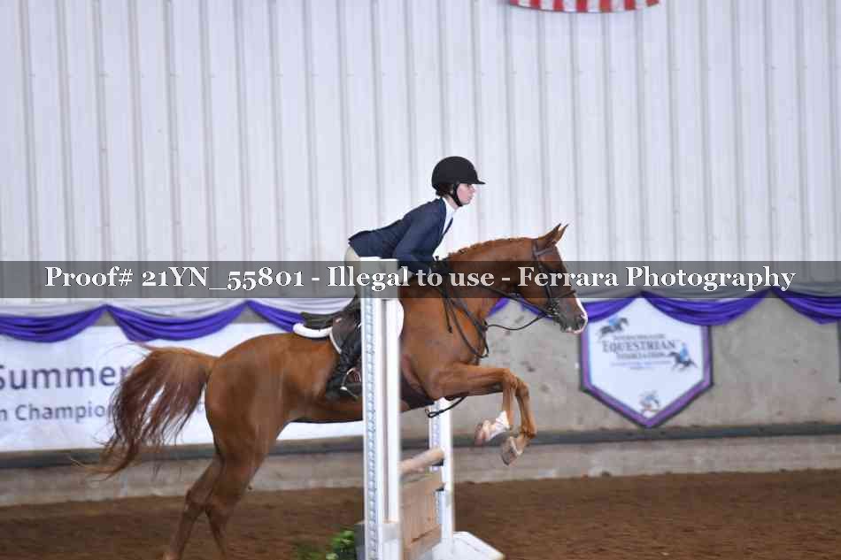 Proof Number 21YN_55801