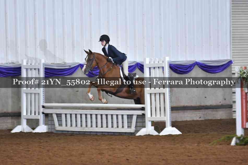 Proof Number 21YN_55802