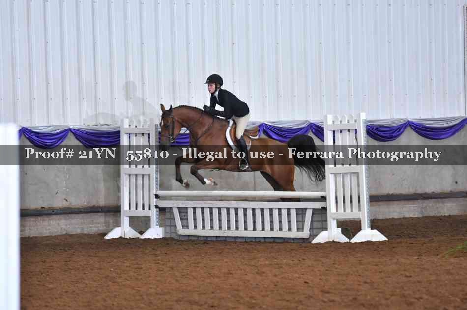 Proof Number 21YN_55810