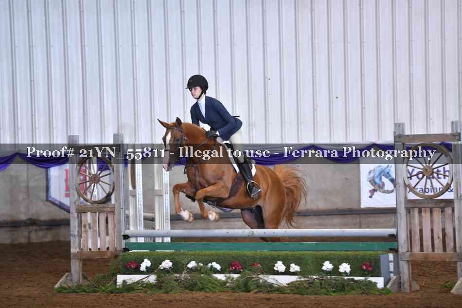 Proof Number 21YN_55811