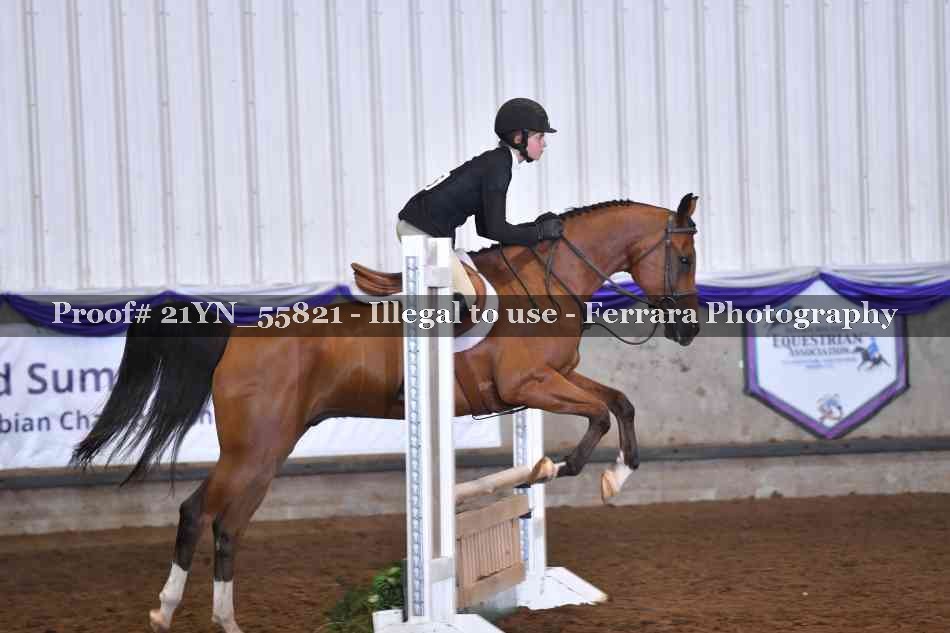 Proof Number 21YN_55821