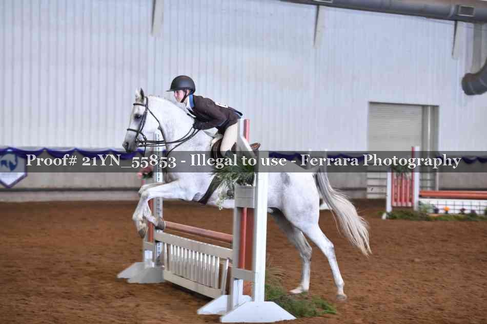 Proof Number 21YN_55853