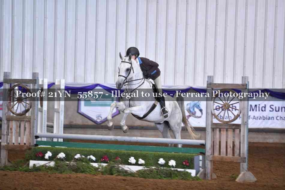 Proof Number 21YN_55857