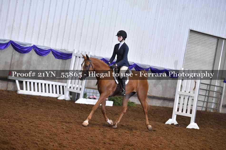 Proof Number 21YN_55865