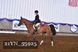 21YN_55925 thumbnail