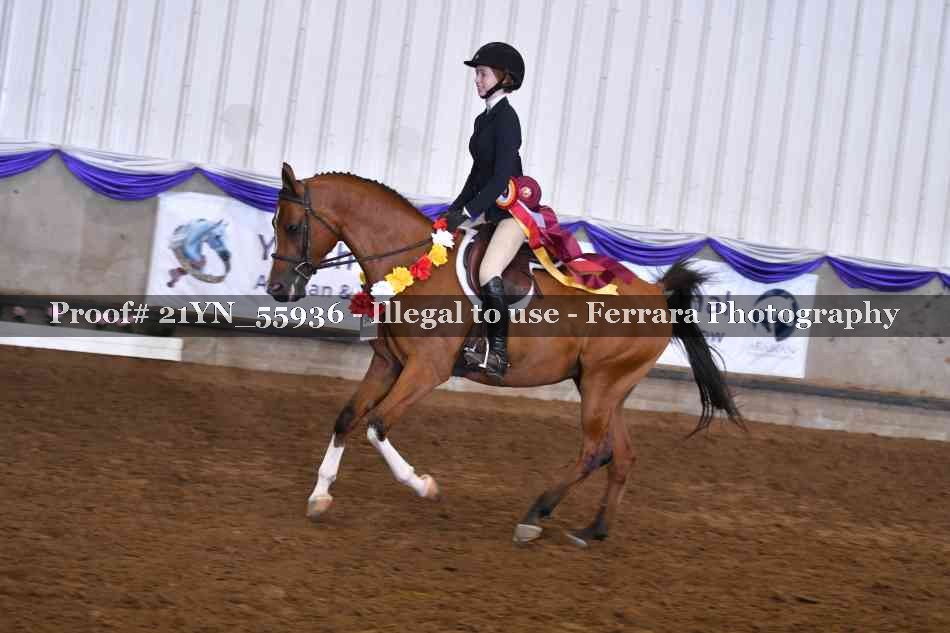 Proof Number 21YN_55936