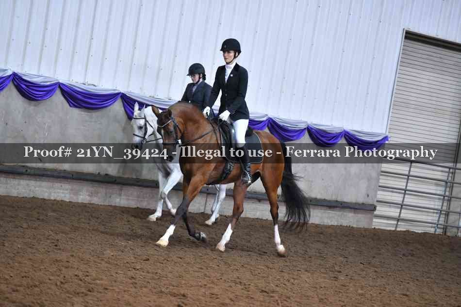 Proof Number 21YN_39424