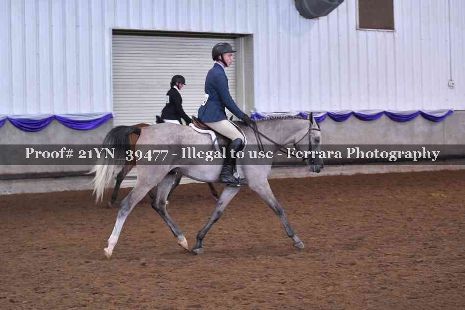 Proof Number 21YN_39477