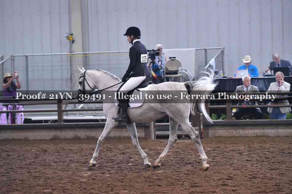 Proof Number 21YN_39491