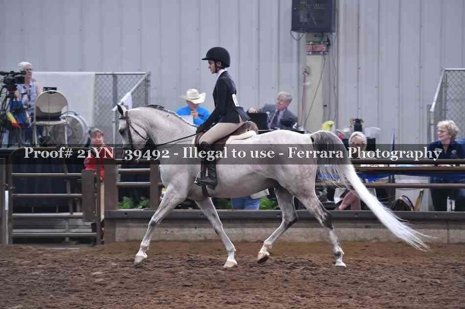 Proof Number 21YN_39492