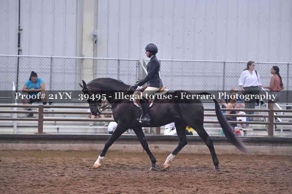 Proof Number 21YN_39495
