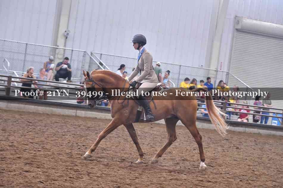 Proof Number 21YN_39499