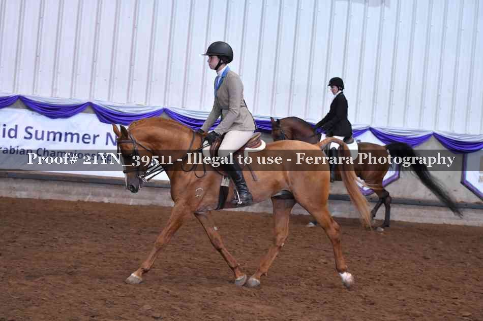 Proof Number 21YN_39511