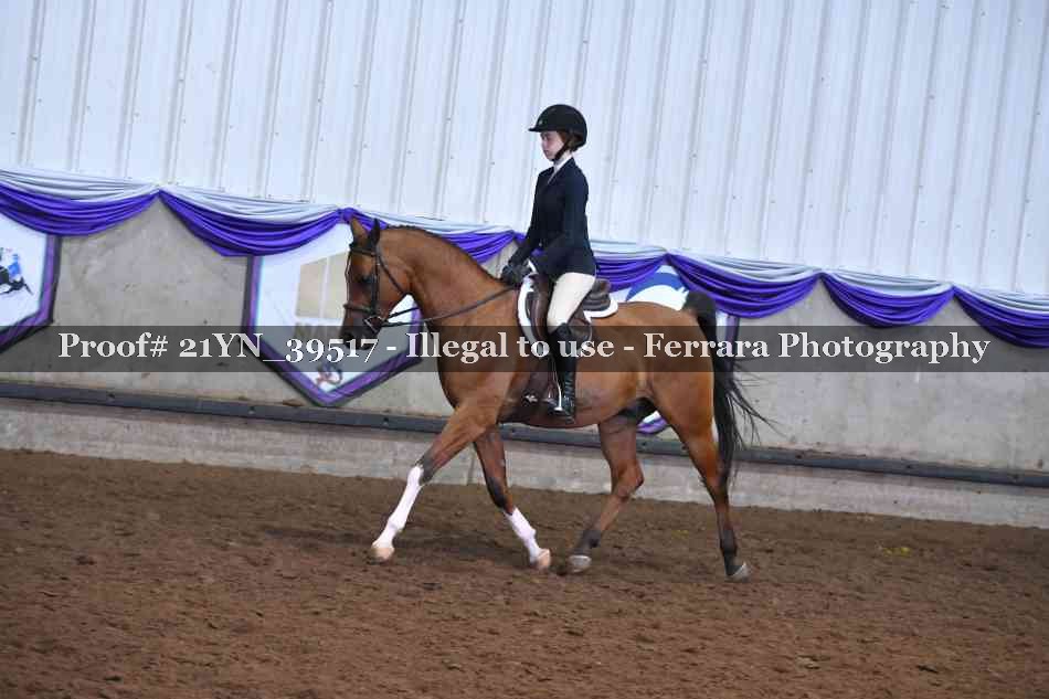 Proof Number 21YN_39517