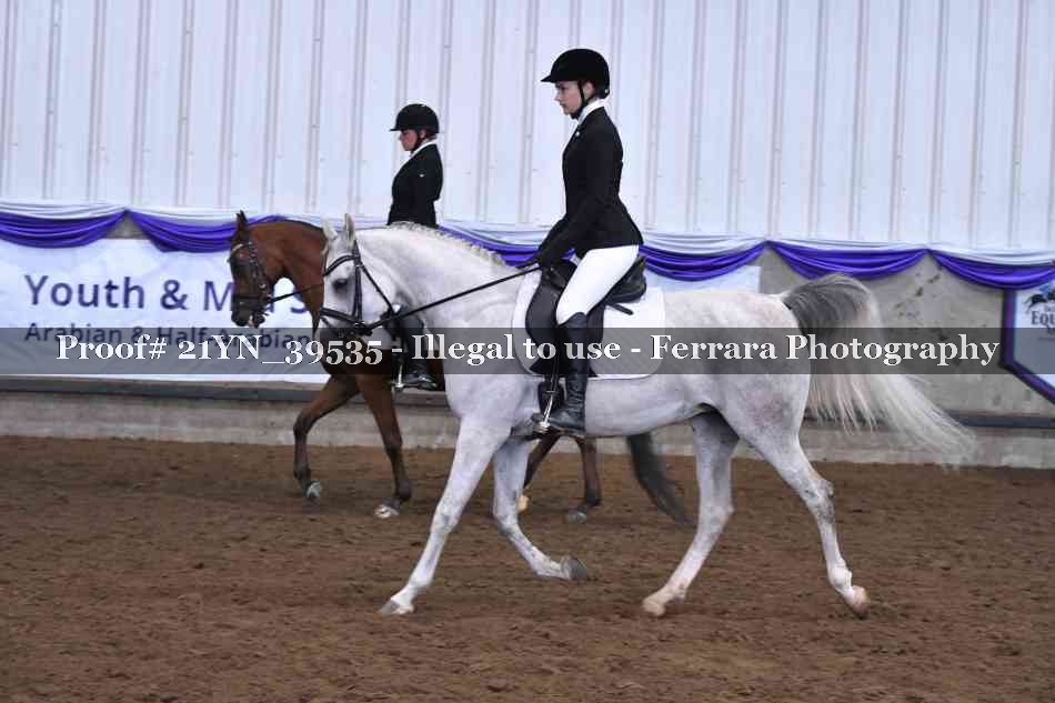 Proof Number 21YN_39535