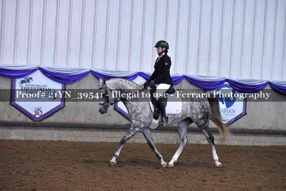 Proof Number 21YN_39541