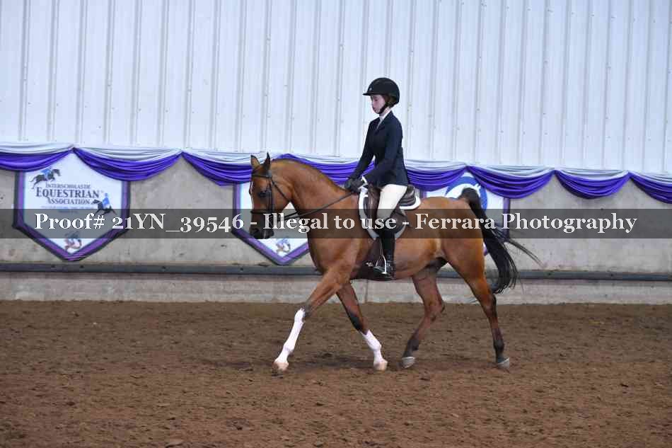 Proof Number 21YN_39546
