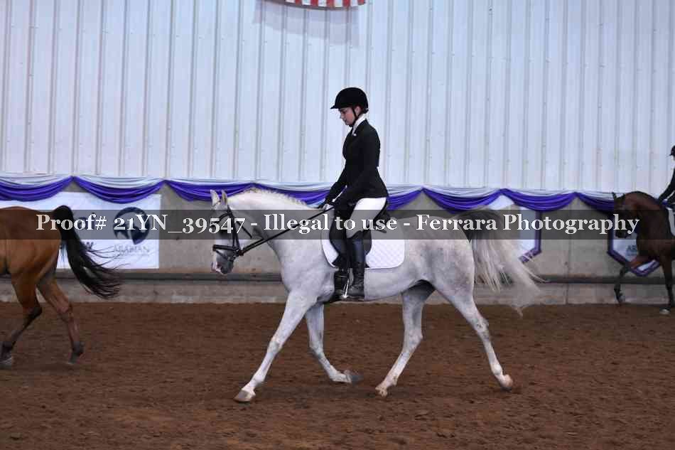 Proof Number 21YN_39547