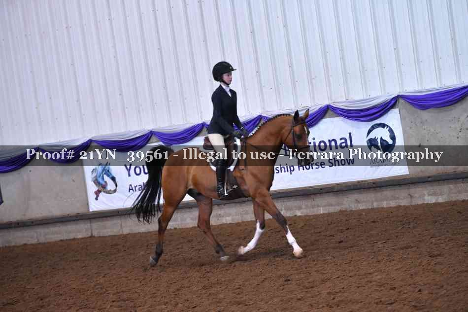 Proof Number 21YN_39561
