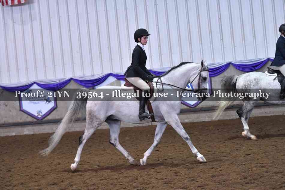 Proof Number 21YN_39564