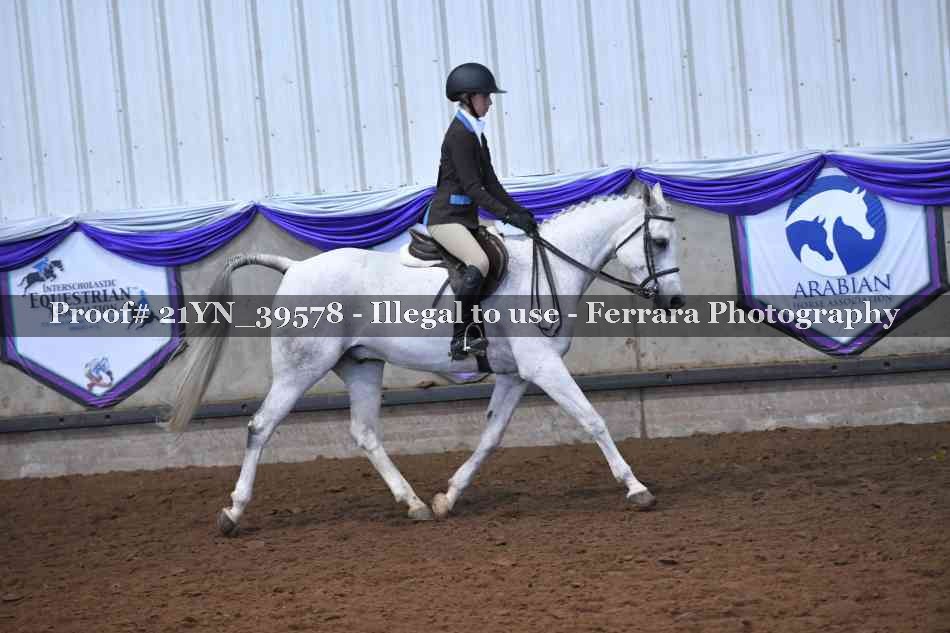 Proof Number 21YN_39578