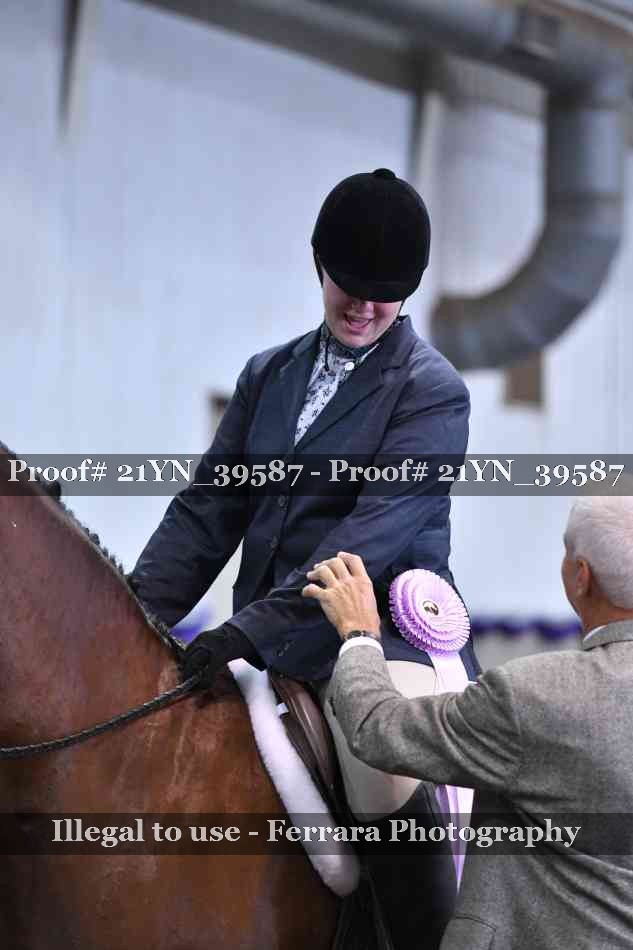 Proof Number 21YN_39587