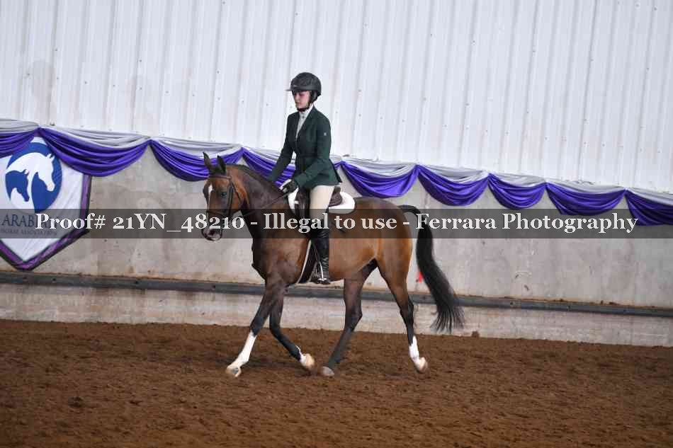 Proof Number 21YN_48210