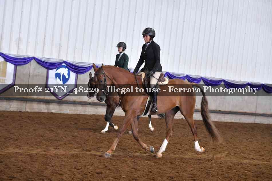 Proof Number 21YN_48229