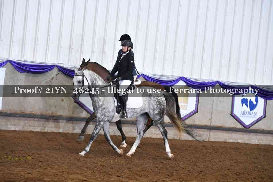 Proof Number 21YN_48245