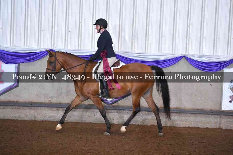 Proof Number 21YN_48349