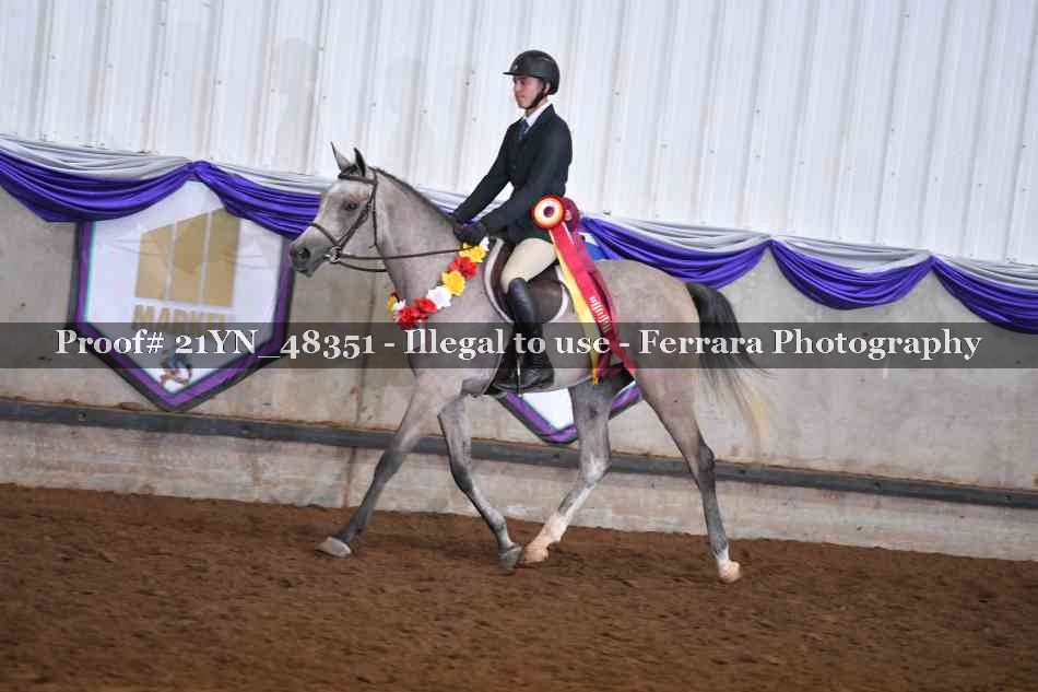 Proof Number 21YN_48351