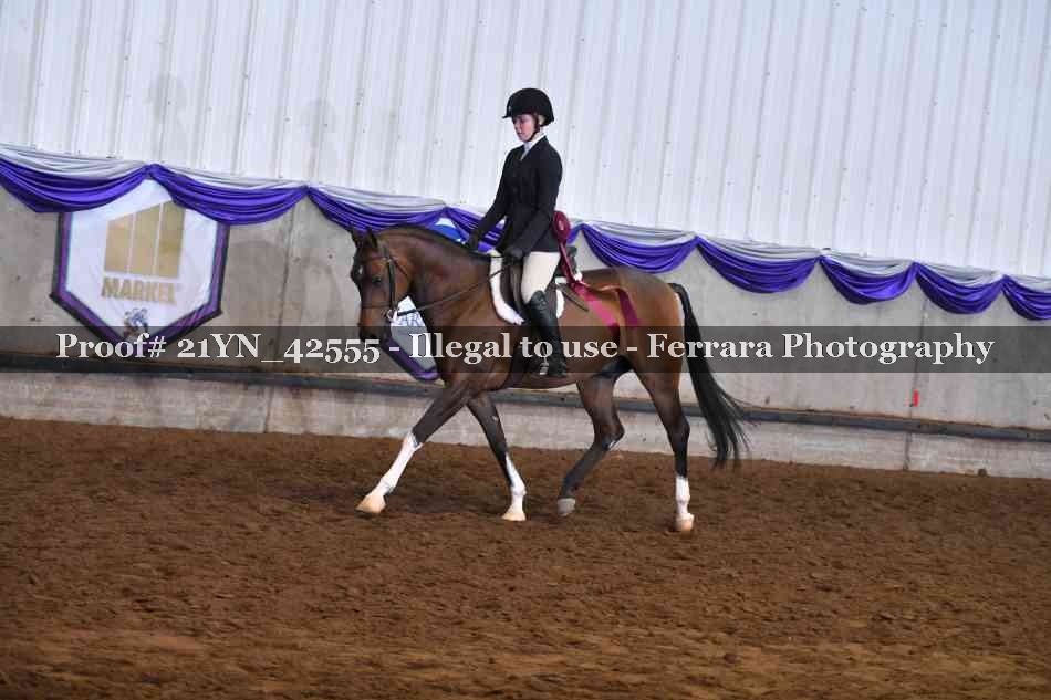 Proof Number 21YN_42555
