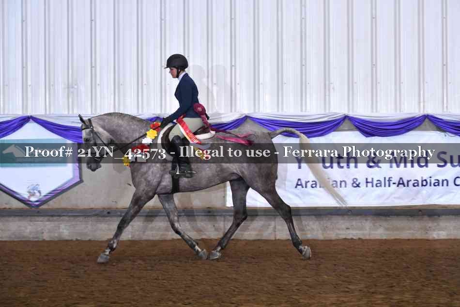 Proof Number 21YN_42573