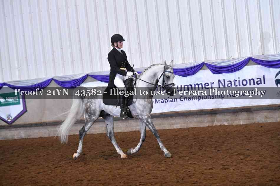 Proof Number 21YN_43582