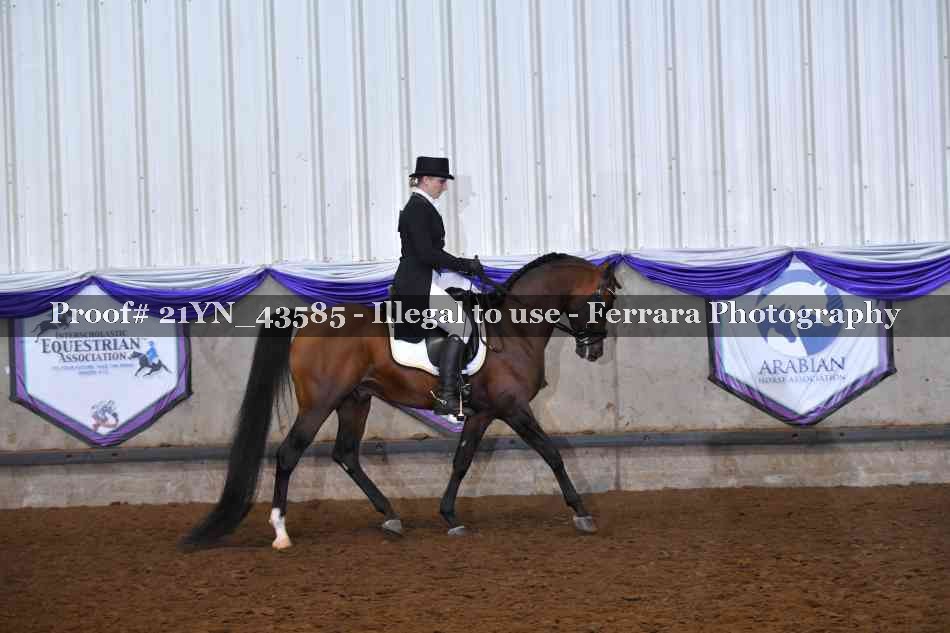 Proof Number 21YN_43585