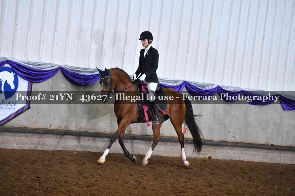 Proof Number 21YN_43627