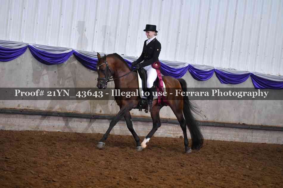 Proof Number 21YN_43643