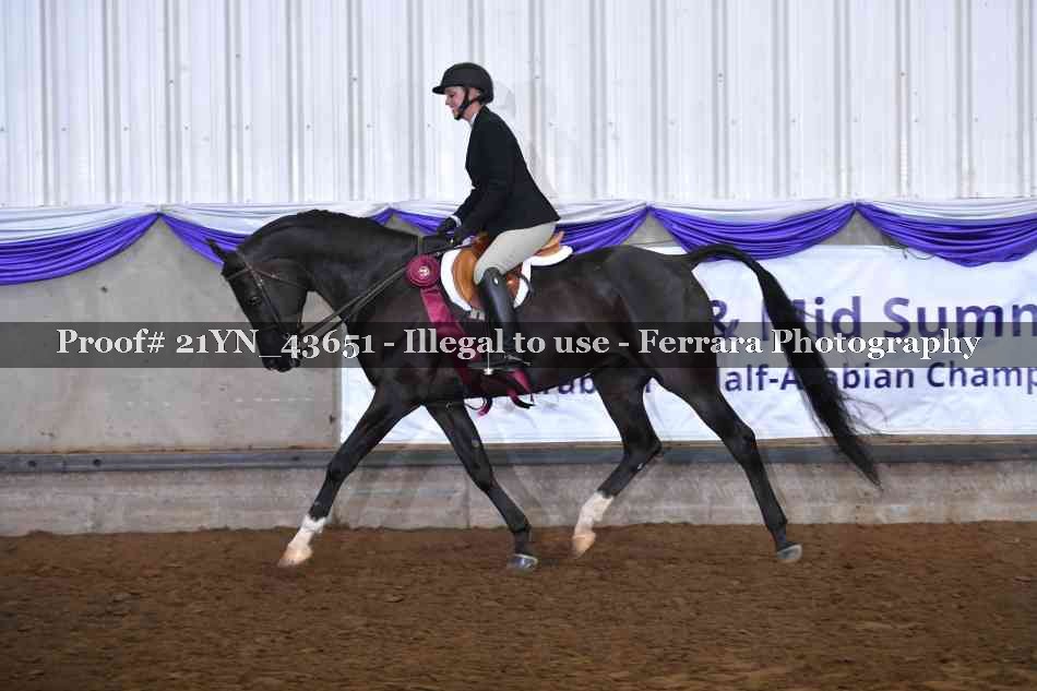 Proof Number 21YN_43651