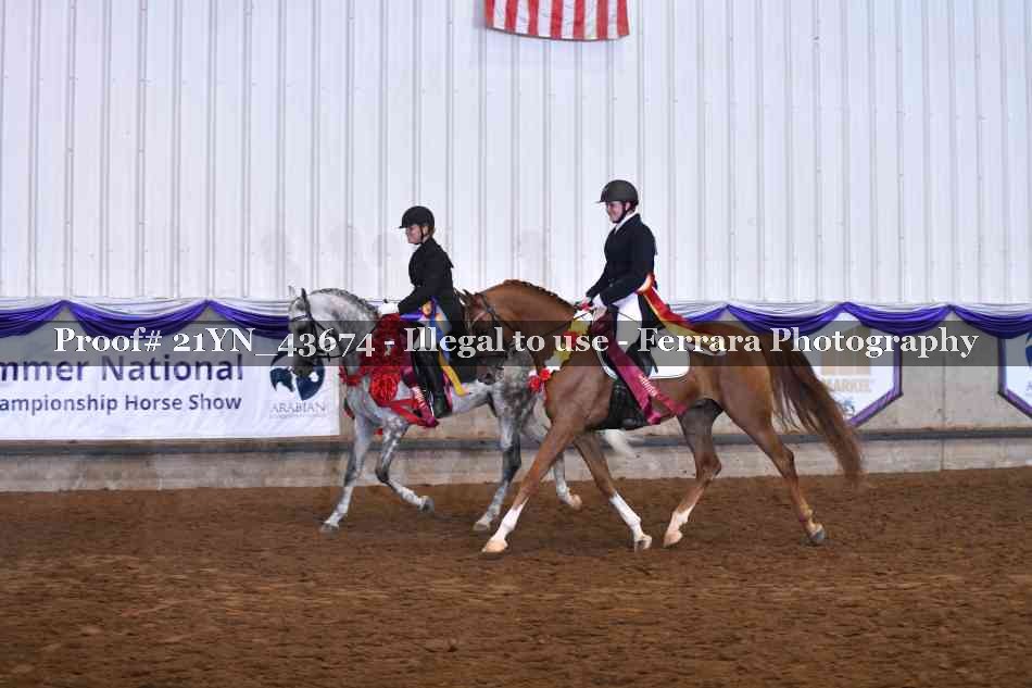 Proof Number 21YN_43674