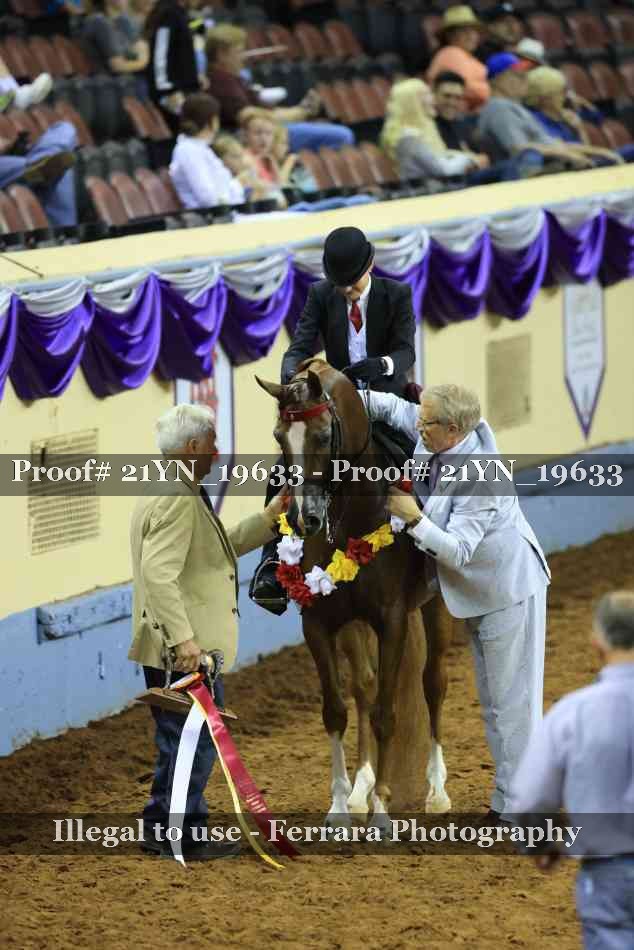 Proof Number 21YN_19633