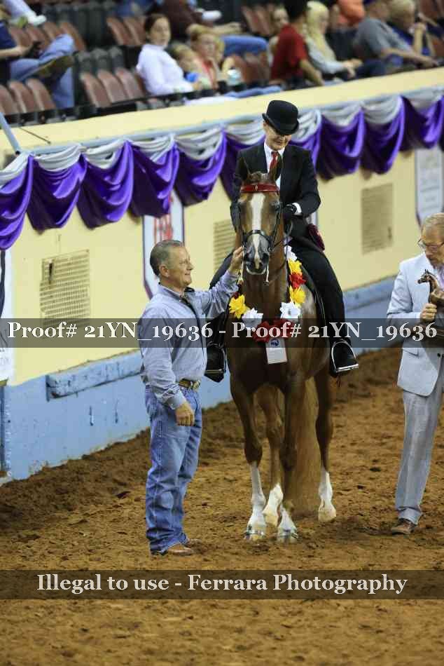 Proof Number 21YN_19636