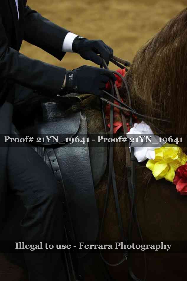 Proof Number 21YN_19641