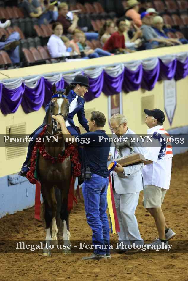 Proof Number 21YN_19653