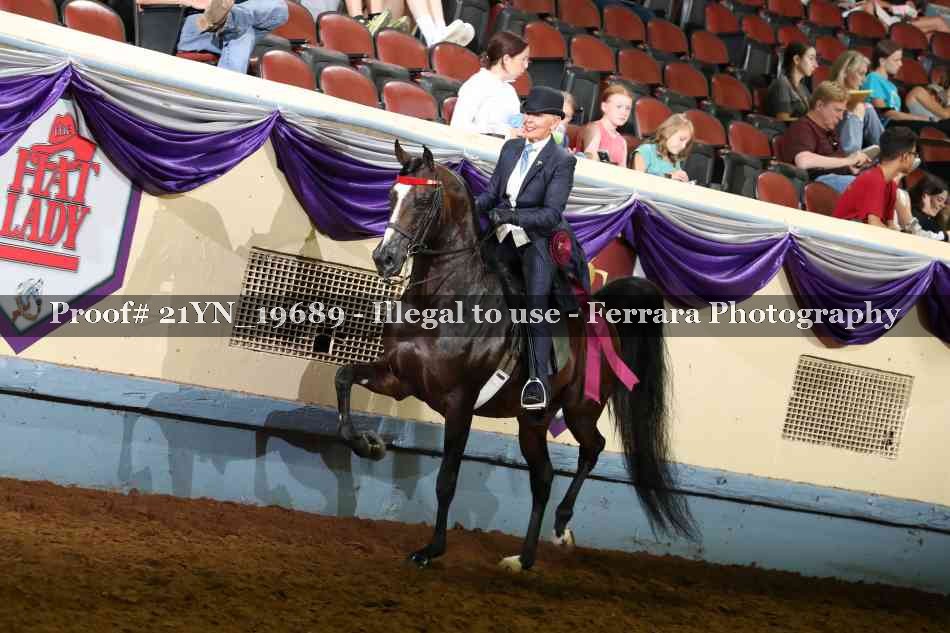 Proof Number 21YN_19689