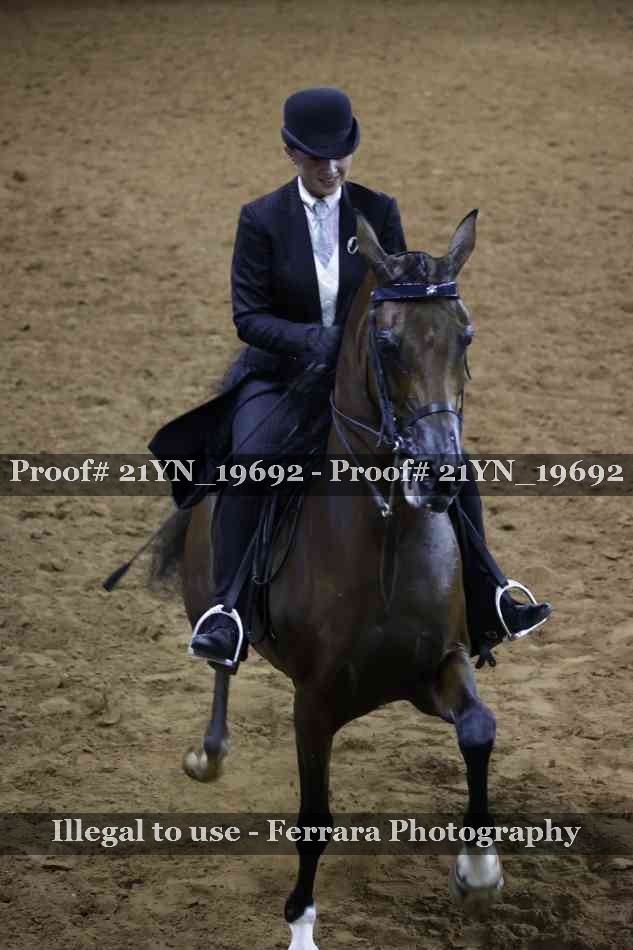 Proof Number 21YN_19692