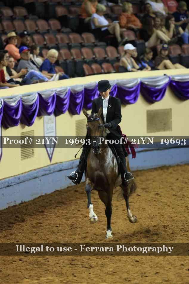 Proof Number 21YN_19693