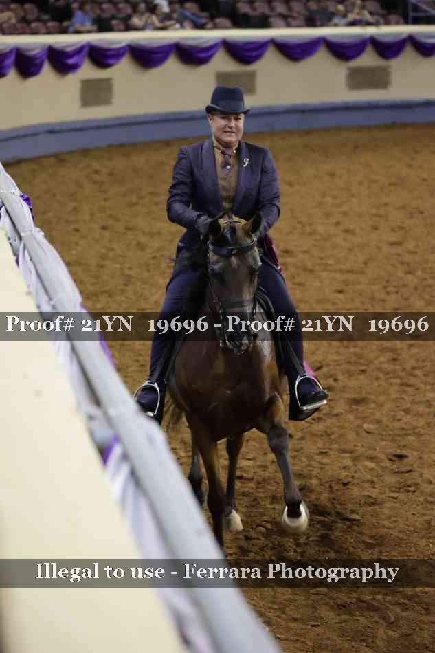 Proof Number 21YN_19696